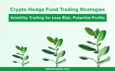BitBull Capital’s Crypto Hedge Fund Trading Strategies: Volatility Trading for Less Risk, Potential Profits