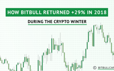 How BitBull Returned +29% in 2018, During the Crypto Winter