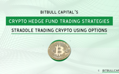 BitBull Capital’s Crypto Hedge Fund Trading Strategies: Straddle Trading Crypto Using Options