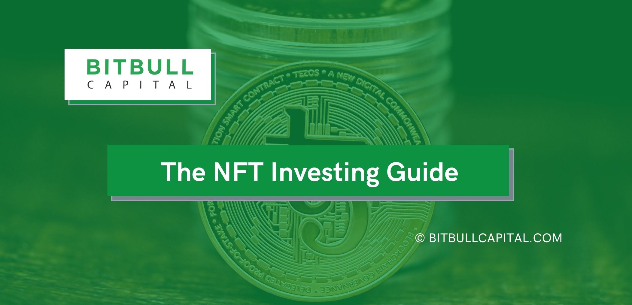 The NFT Investing Guide For Beginners - Bitbull Capital