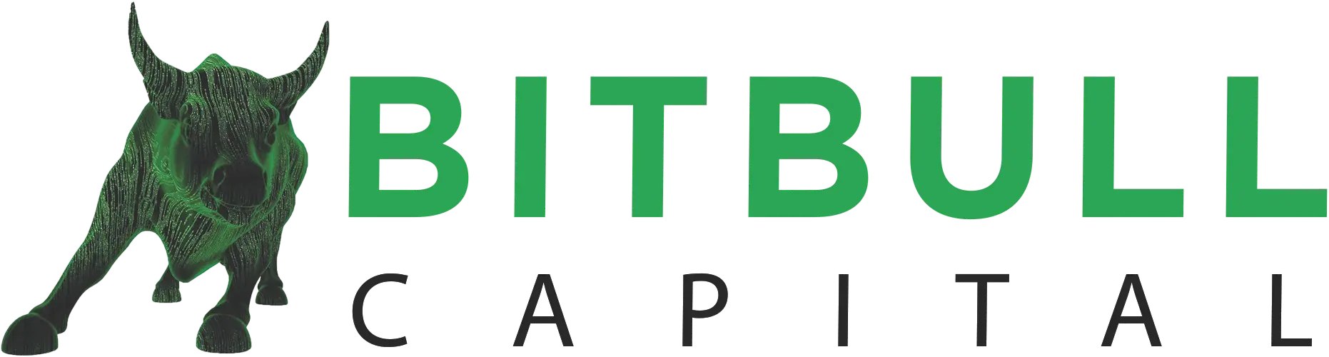 Bitbull Capital